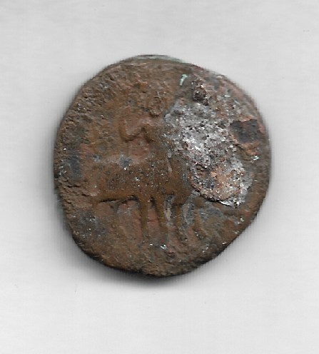 Image (458) Image (458)