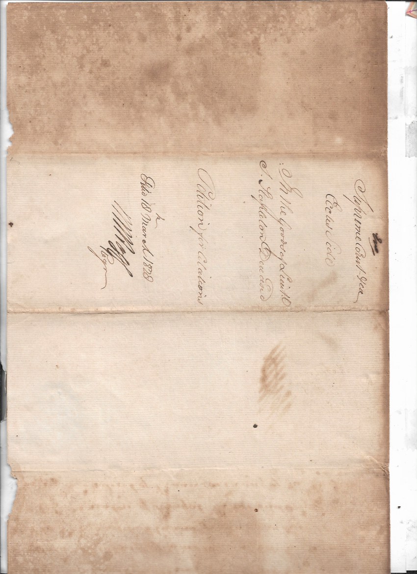 Image (871) Image (871)