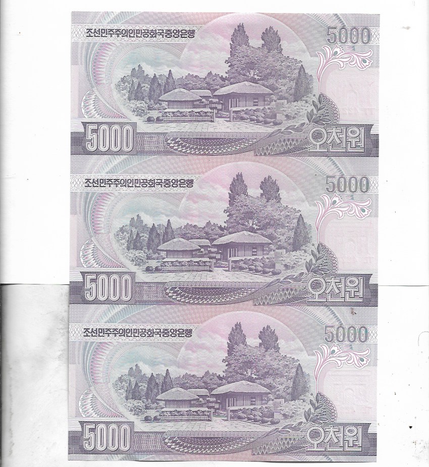 Image (447) Image (447)