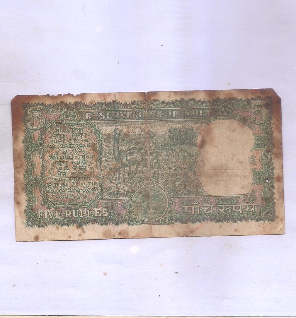 Image (541) Image (541)