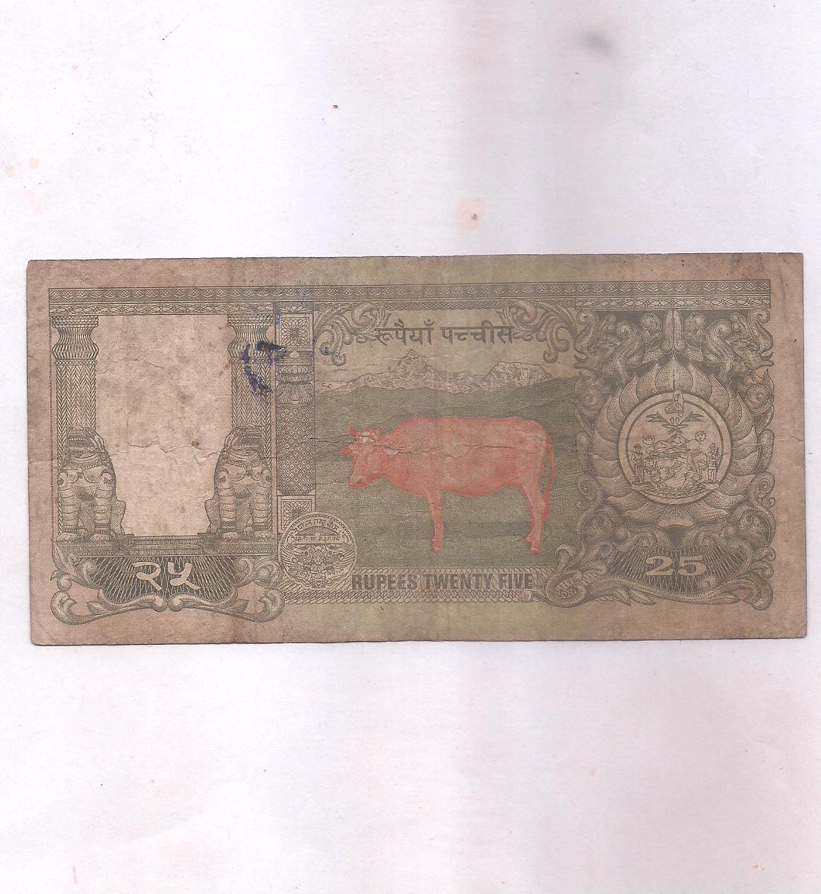 Image (528) Image (528)