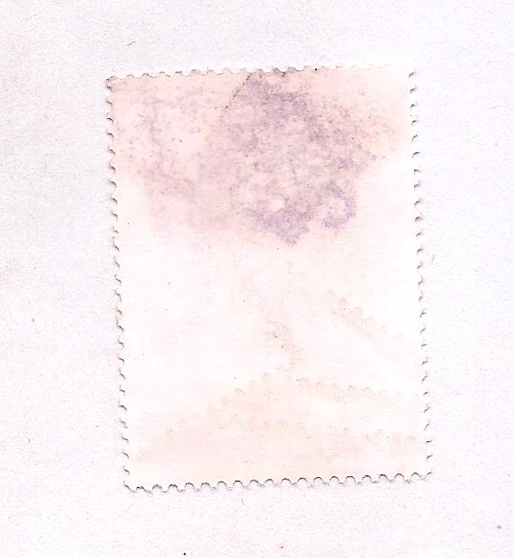 Image (410) Image (410)