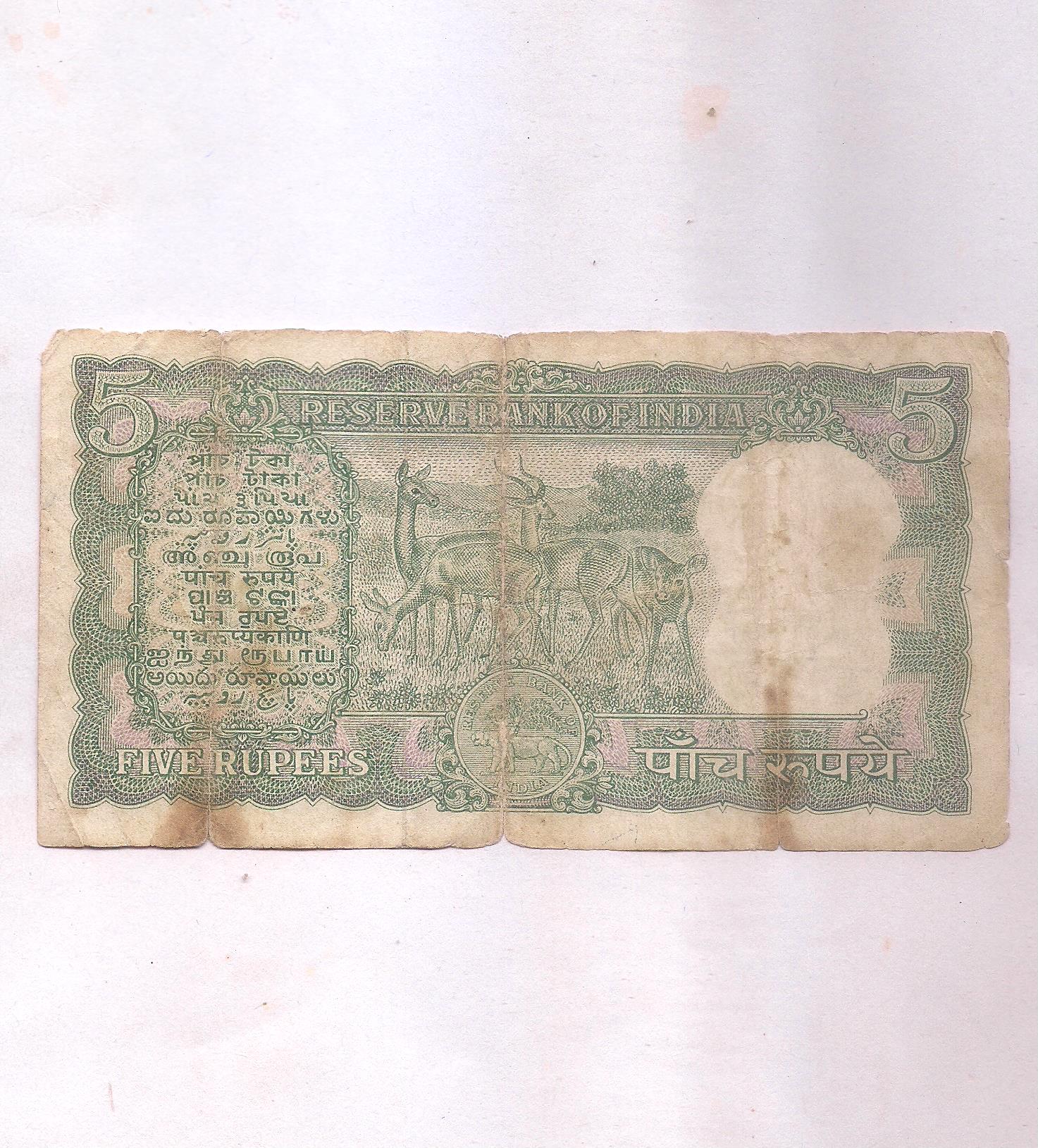 Image (728) Image (728)