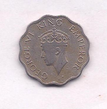 Image (874) Image (874)