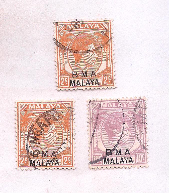 Image (650)