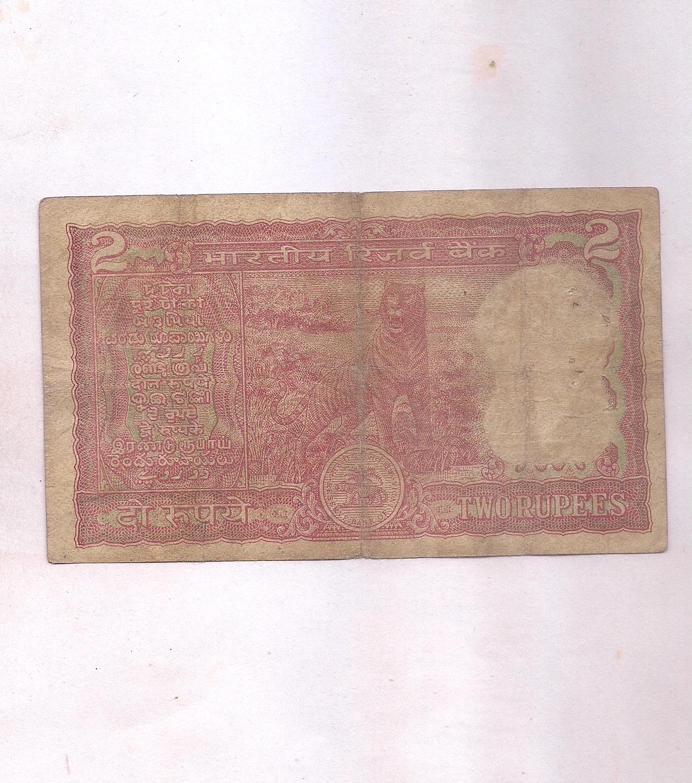 Image (19)