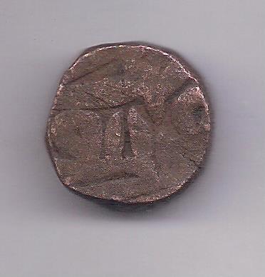 Image (524) Image (524)