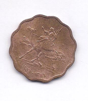 Image (9)